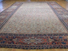 1890 Antique Persian Mahal Rug Fish Design, Camel Field, Wide Border