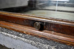 1890 Walnut Counter top Curved Glass Display Case