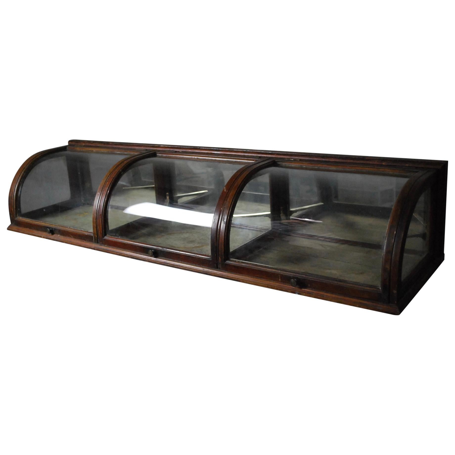 1890 Walnut Counter top Curved Glass Display Case