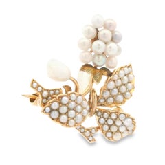 1890s 14k Yellow Gold Bippart, Griscom & Osborn Seed Pearl Grape Vine Brooch