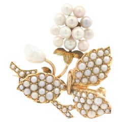 1890s 14k Yellow Gold Bippart, Griscom & Osborn Seed Pearl Grape Vine Brooch