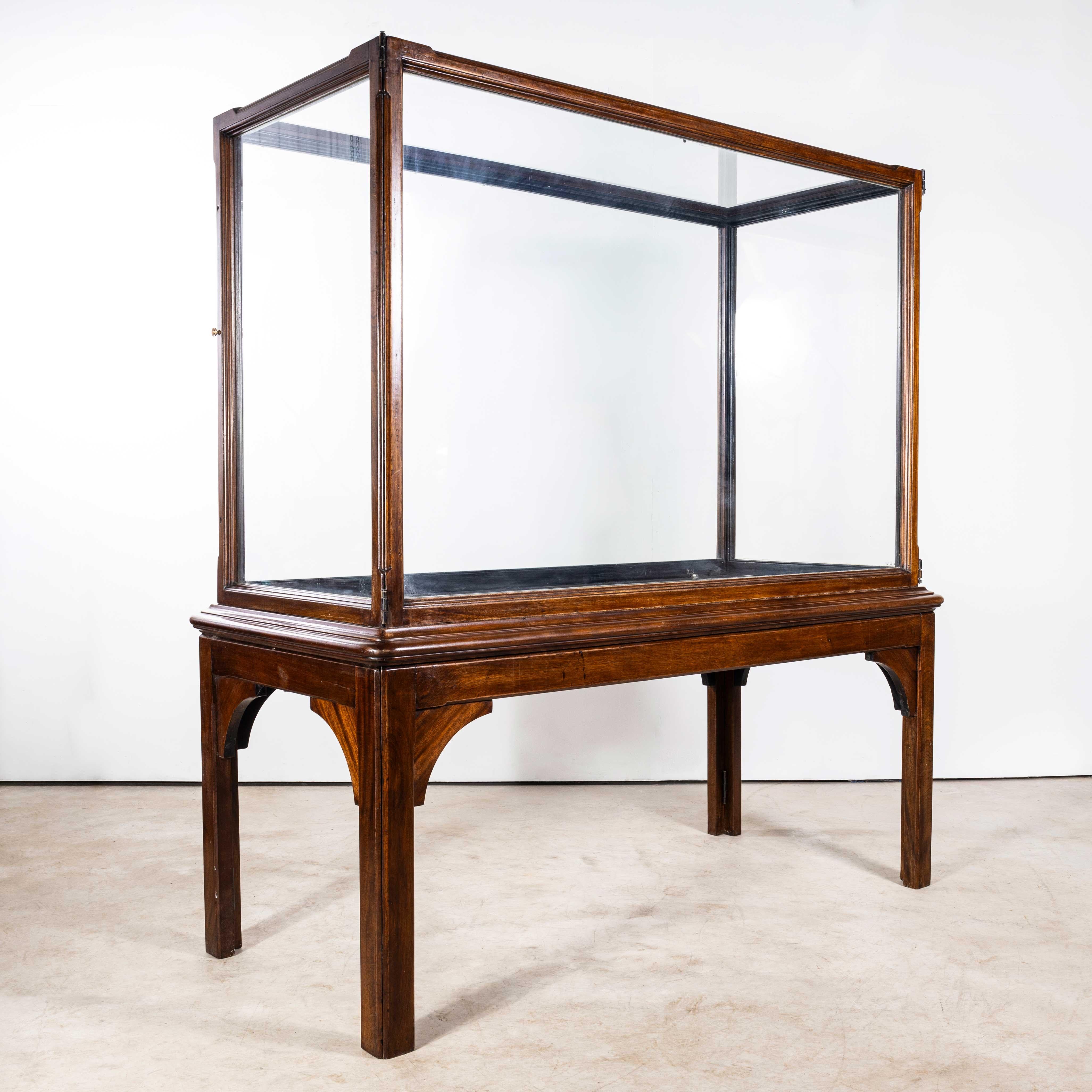 1890's Large Victorian Mahogany Museum Display Case For Sale 6