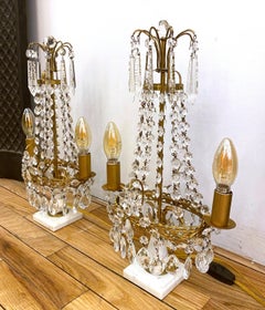 1890s Pair Gustavian Style Electrified Crystal Table Lamps