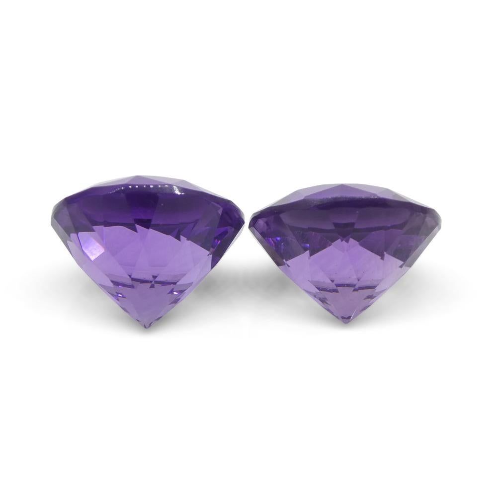 18,94 Karat Paar runde lila Amethyste aus Uruguay, Paar im Angebot 8