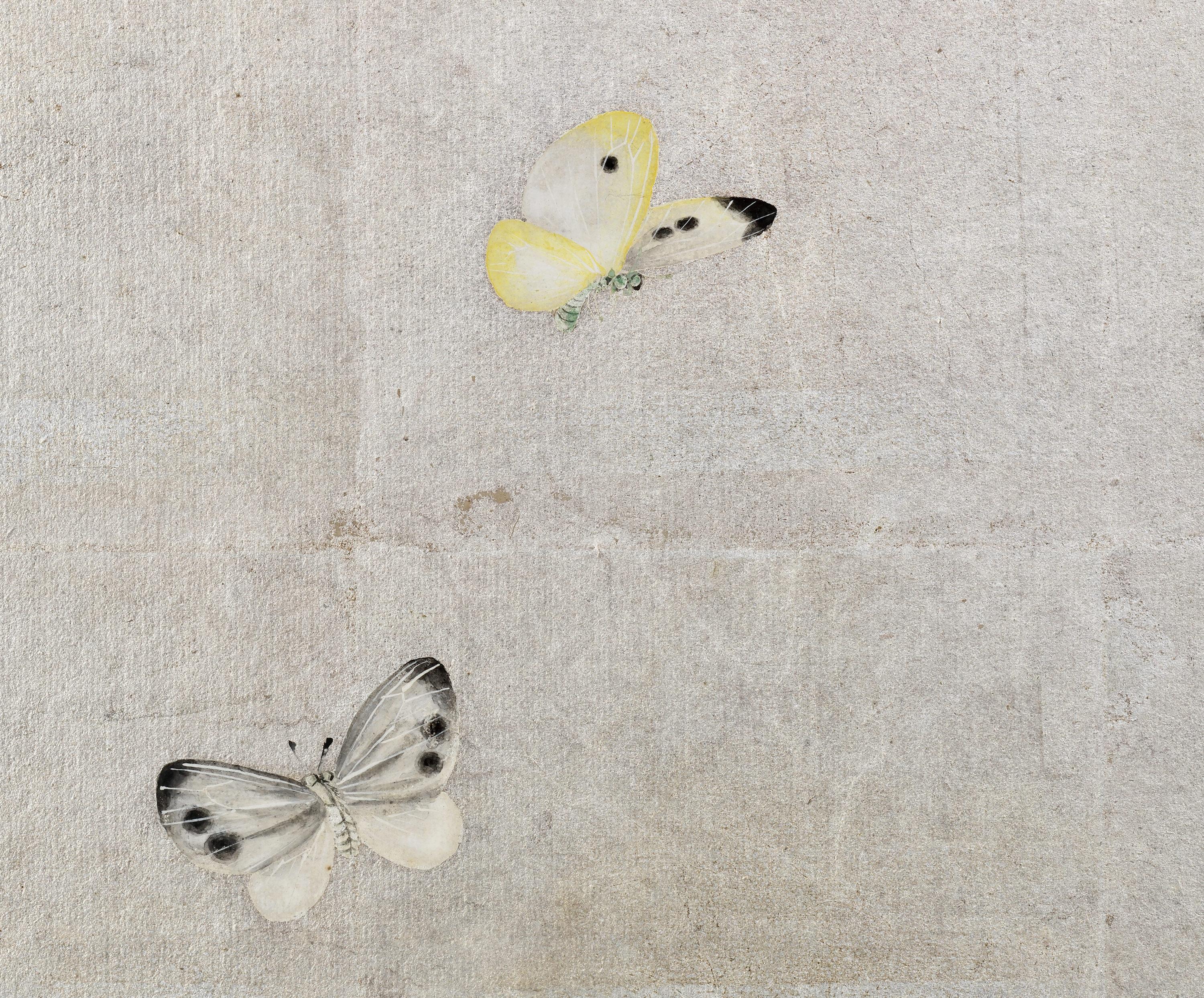 1895 Coppia di paraventi giapponesi Meiji. Fiori di ciliegio e aceri autunnali su foglia d'argento in vendita 3