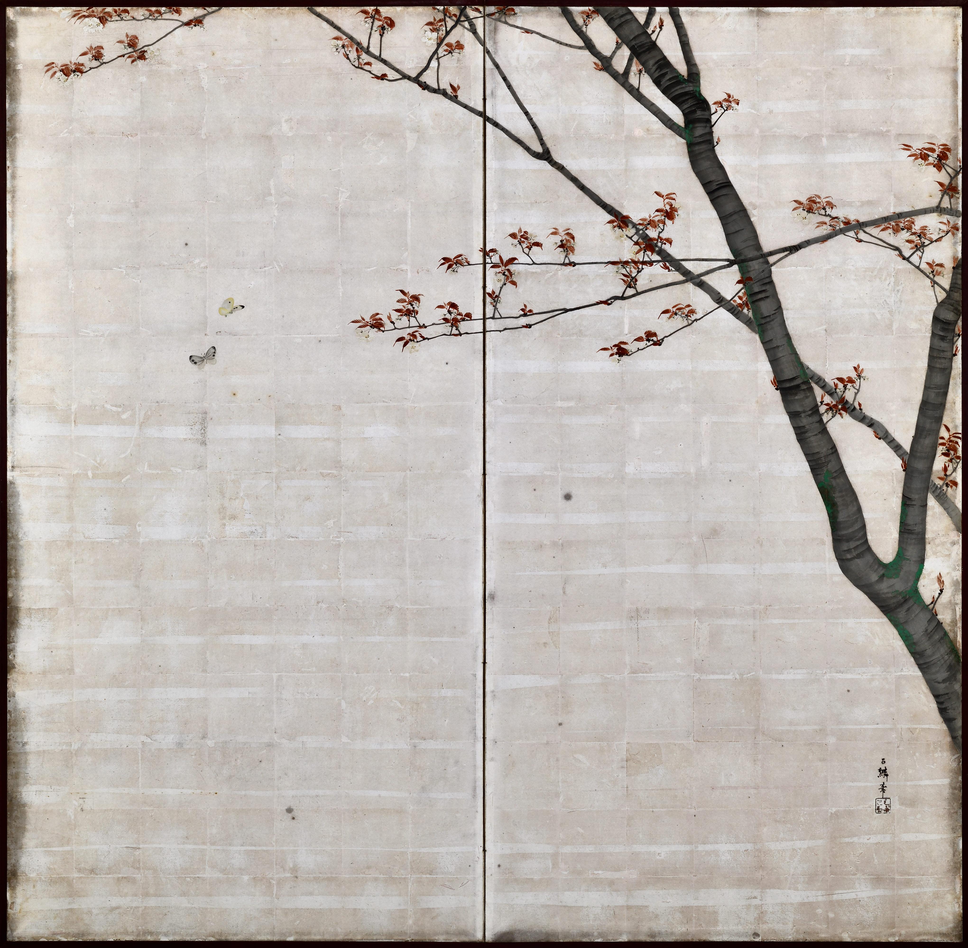 Fiori di ciliegio e aceri d'autunno
Isobe Hyakurin (1836-1906)
Datato Meiji 28 aprile: 1895
Coppia di paraventi giapponesi a due pannelli; inchiostro e pigmenti su foglia d'argento

Questa raffinata coppia di paraventi di Isobe Hyakurin, sacerdote