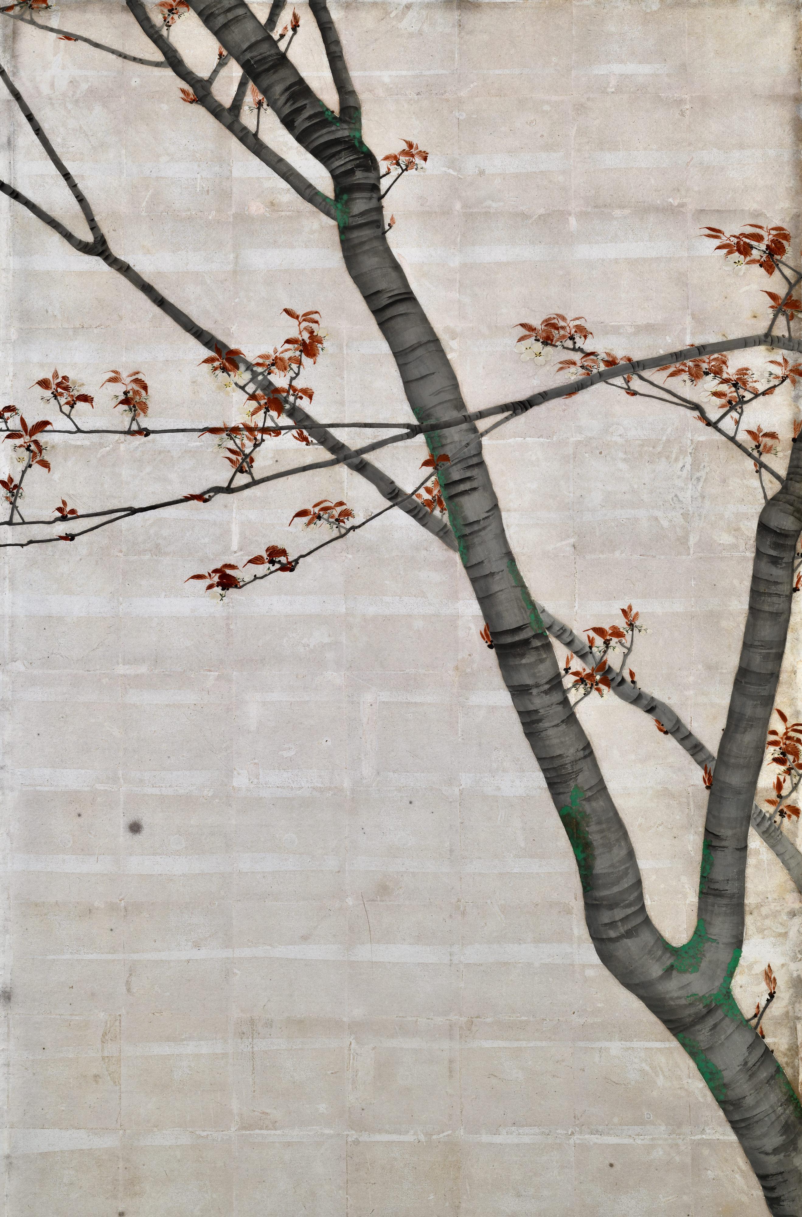 1895 Coppia di paraventi giapponesi Meiji. Fiori di ciliegio e aceri autunnali su foglia d'argento In condizioni buone in vendita a Kyoto, JP