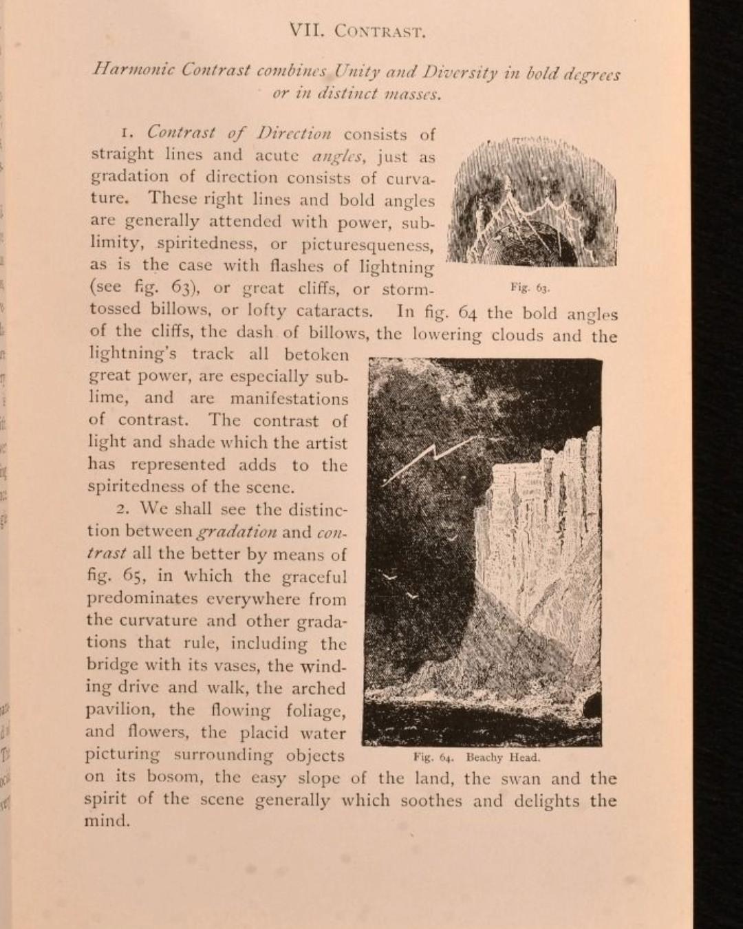 1896 The Principles of Light and Color For Sale 1