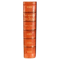 1896 I principi della luce e del colore