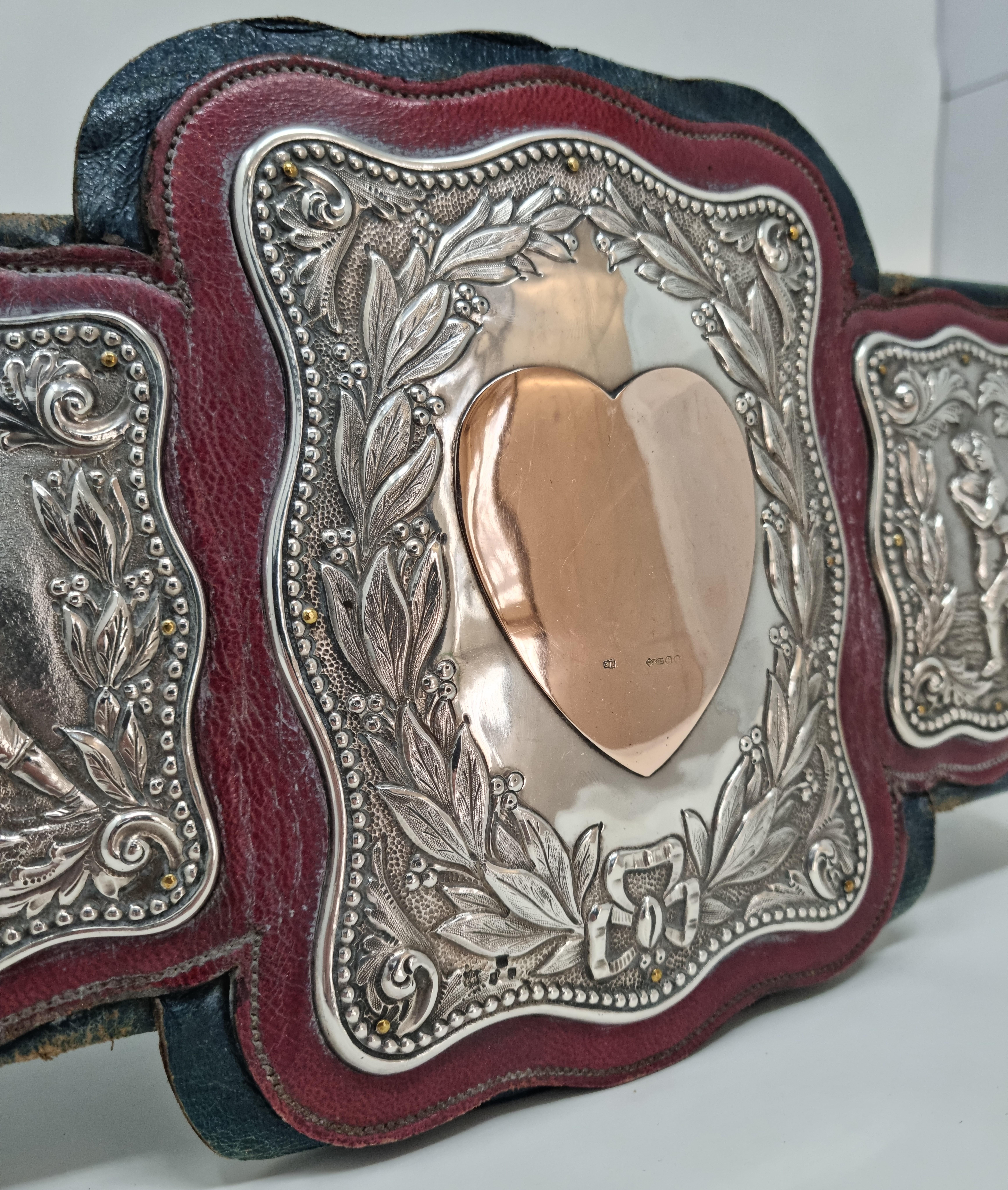 ring used wwe belts