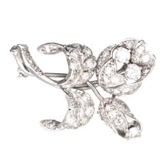 18ct White Gold, Diamond Flower Spray Brooch, 1950s