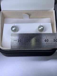 18ct white gold light grey Tahitian cultured pearl stud earrings 7.5mm