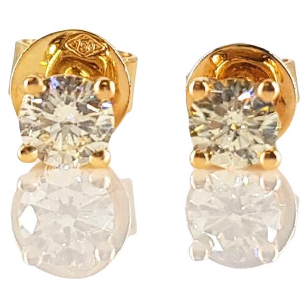 18ct Yellow Gold Diamond Studs For Sale at 1stDibs