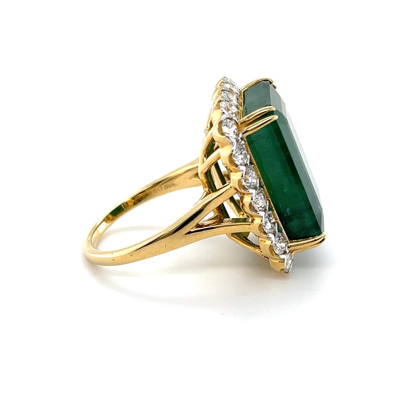An emerald cut natural emerald accompanied by a stunning selection of claw set round brilliant cut diamonds on a beautifully designed 18ct yellow gold ring. 

Total Emerald Weight: 20.72ct 

Emerald Grade/Colour: Medium Dark 

Dimensions: 18.6mm(L)