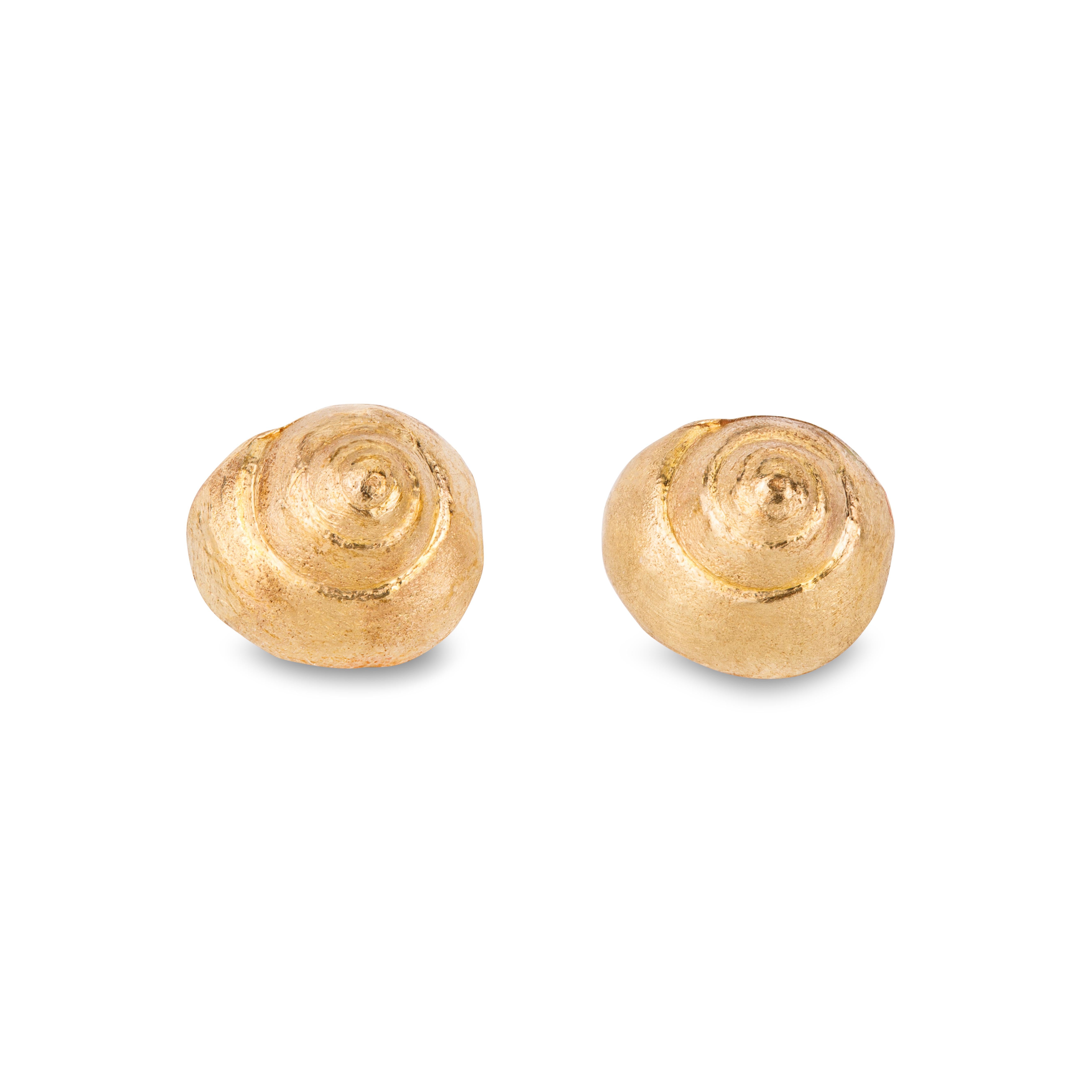 gold shell stud earrings