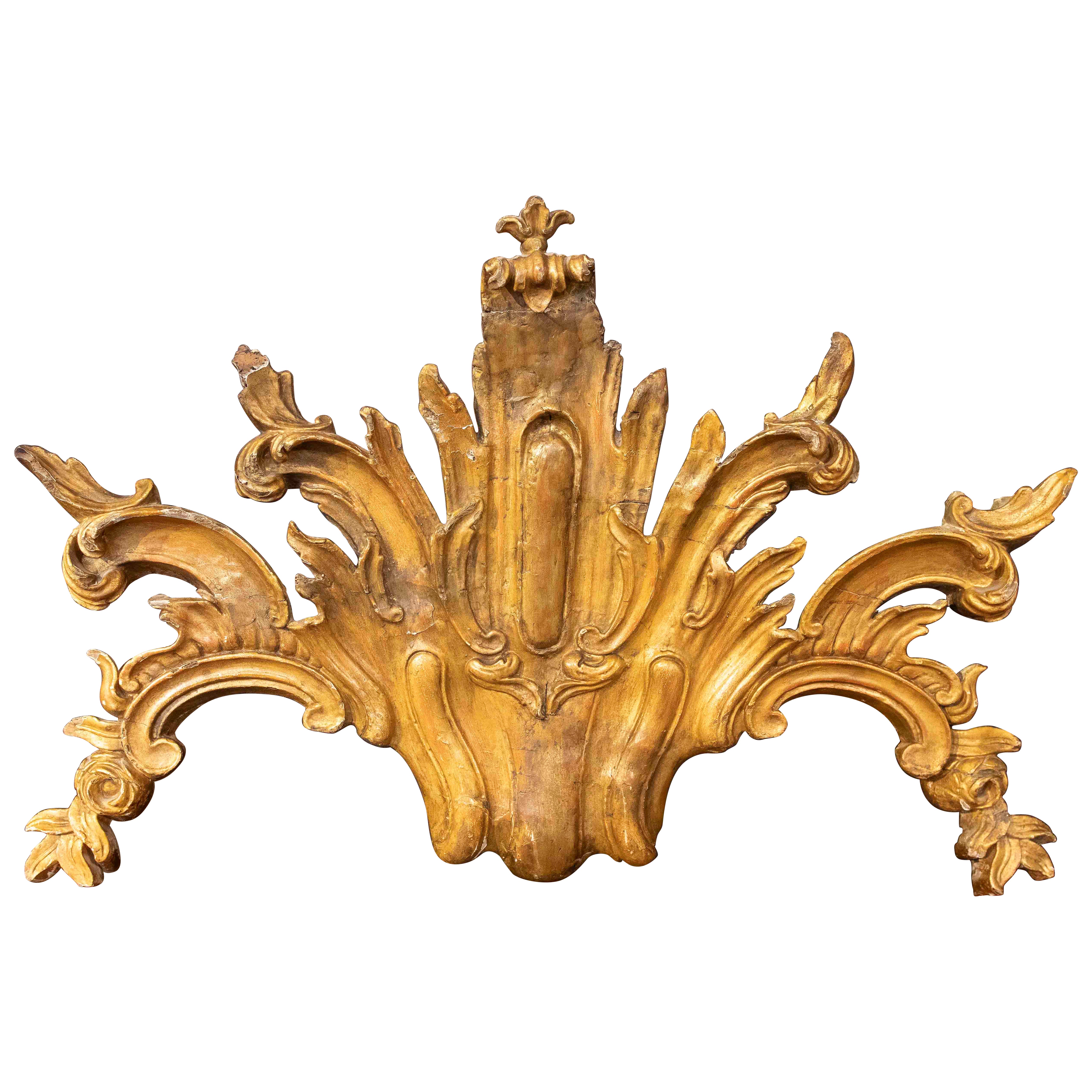 18eh Großes italienisches architektonisches Ornament aus geschnitztem und vergoldetem Holz