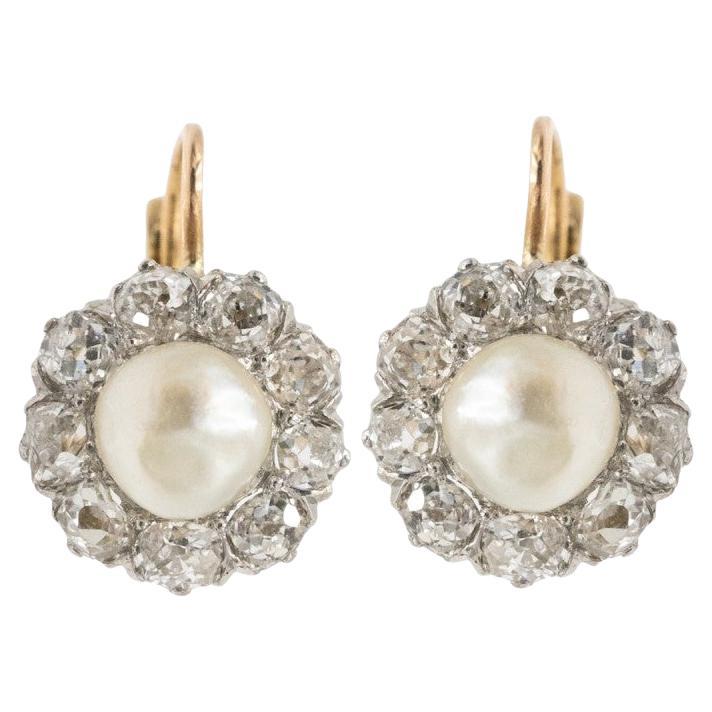 Ohrringe aus 18 Karat Gold und Platin mit alten Diamanten im Brillantschliff und Perlen. im Angebot