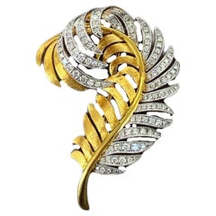 Brooches