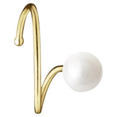 Clous d'oreilles