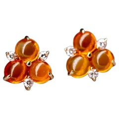 Stud Earrings