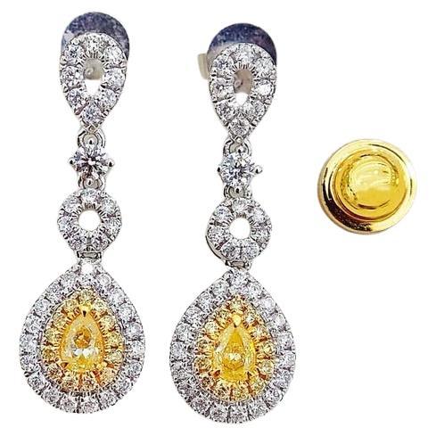 18K Gold Teardrop Dangle Earrings with Natural Yellow Diamonds