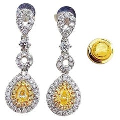 18 Karat Gold Tropfen-Ohrringe mit natürlichen gelben Diamanten