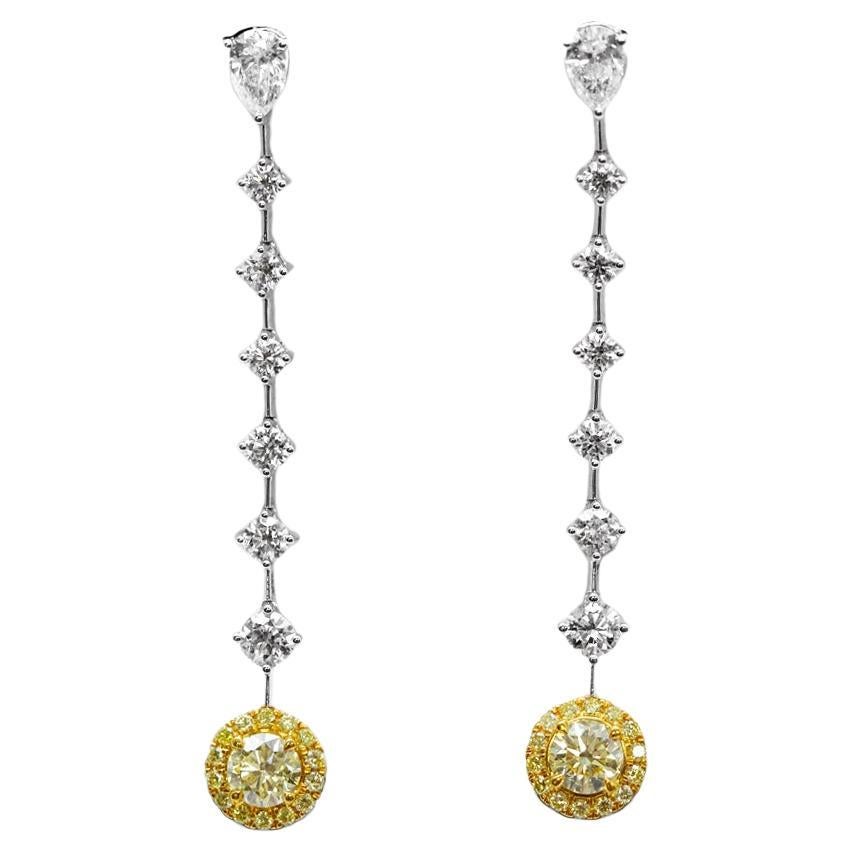 18K Round Yellow Diamond Dangle Earrings with Graduated White Diamonds Scarselli For Sale
