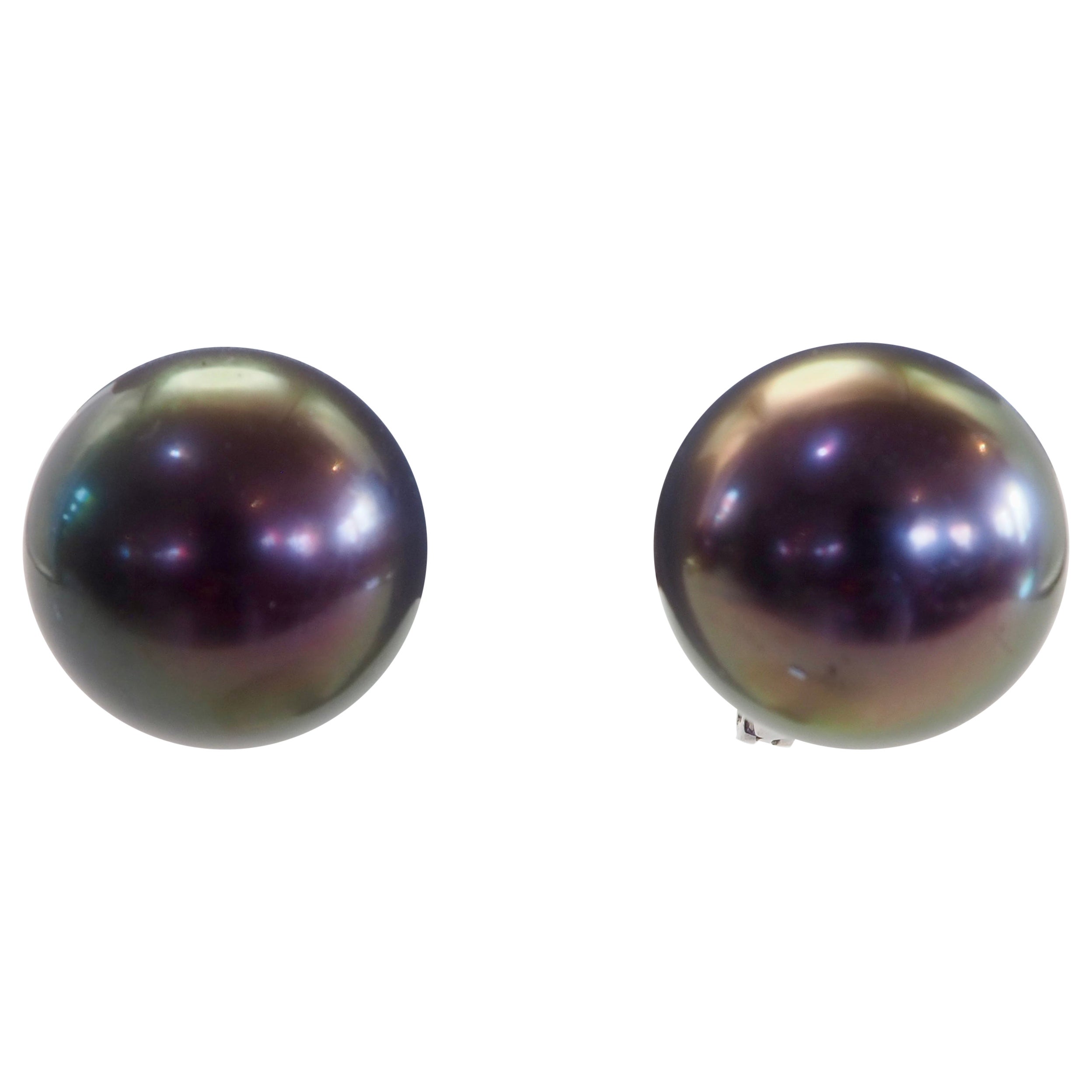 18K White Gold 12.9mm South Sea Black Pearl Fine Latched Back Stud Earring For Sale