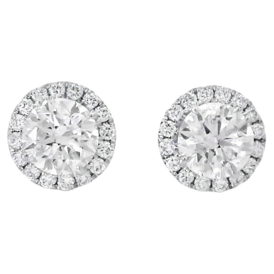 18k Weißgold 1,95ctw Natürliche Runde Brillant Diamant Ohrringe im Angebot