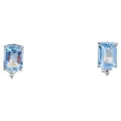 Stud Earrings