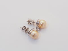 Pendientes de oro blanco de 18 quilates con perla dorada del Mar del Sur de 7,5 mm y diamantes de 0,07 ct