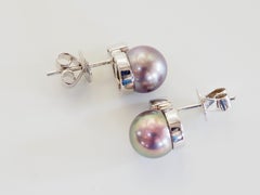 18K White Gold 8mm Peacock Tahiti Pearl & 0.06ct Diamond Stud Earrings