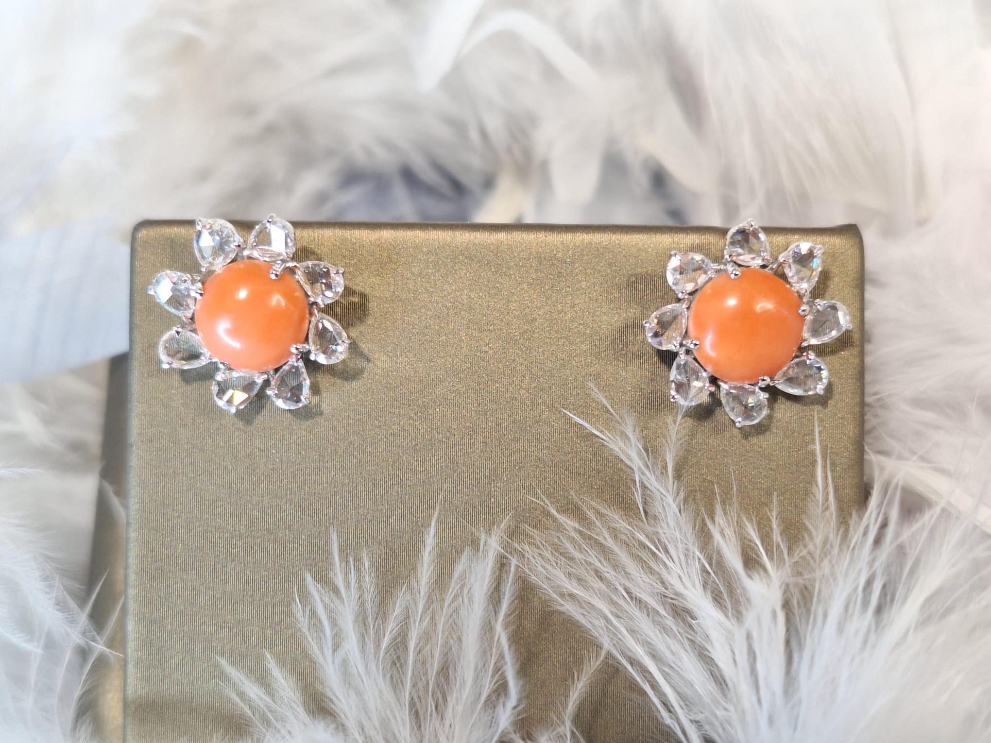 18K White Gold Diamond Earring with Coral

Coral is said to be beneficial for the body, mind, and spirit, and can be used to treat a variety of ailments, also said to promote positive energy and calmness.

Diamonds symbolise clarity and purity, also