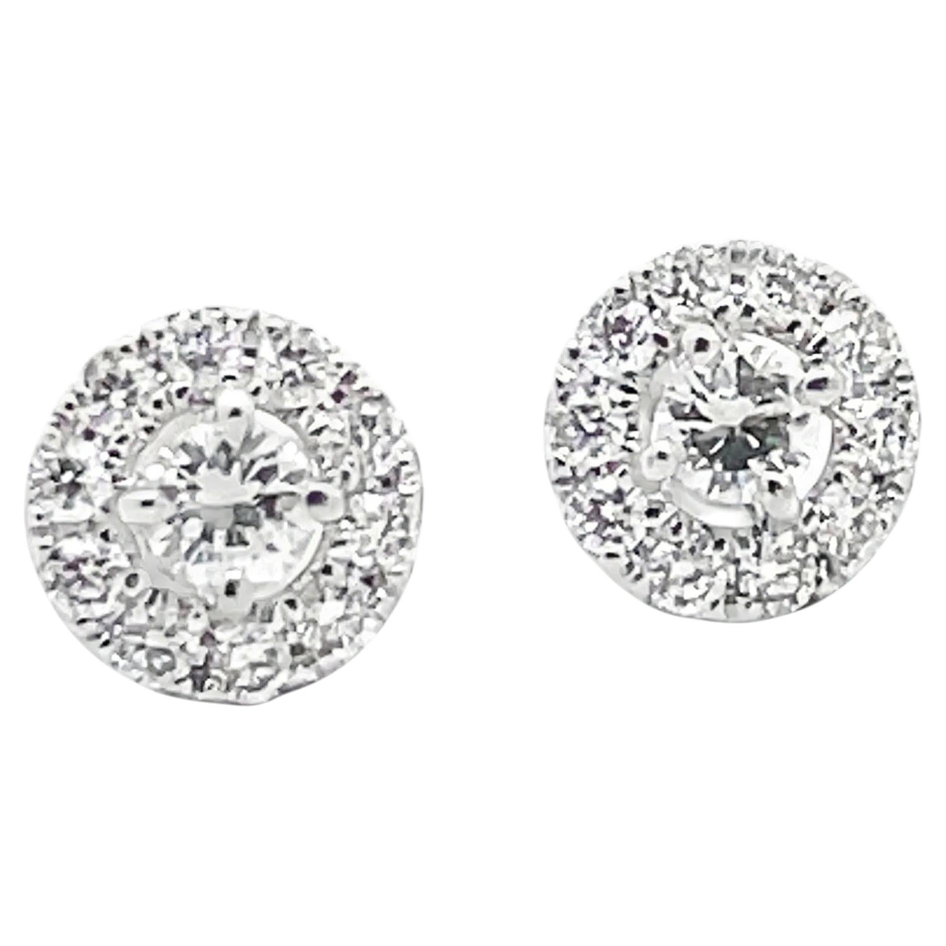 18K Weißgold Diamant Halo Ohrstecker 0.67 Ct Total mit Pushbacks