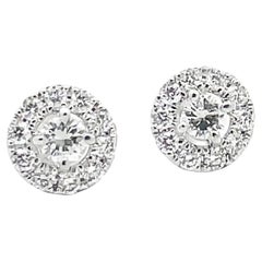 18K White Gold Diamond Halo Stud Earrings 0.67 Ct Total with Pushbacks