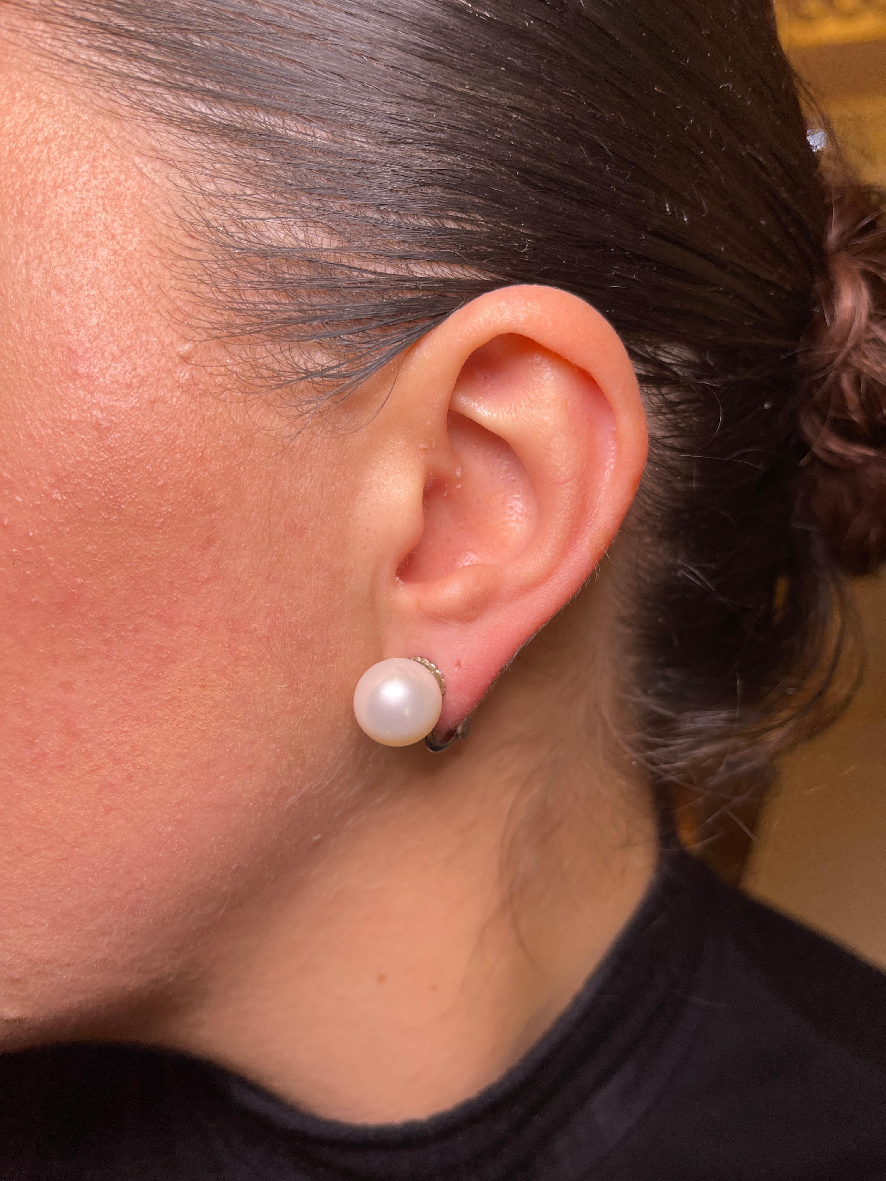 Femenino o masculino Pendientes de oro blanco de 18 quilates con perlas chinas en venta