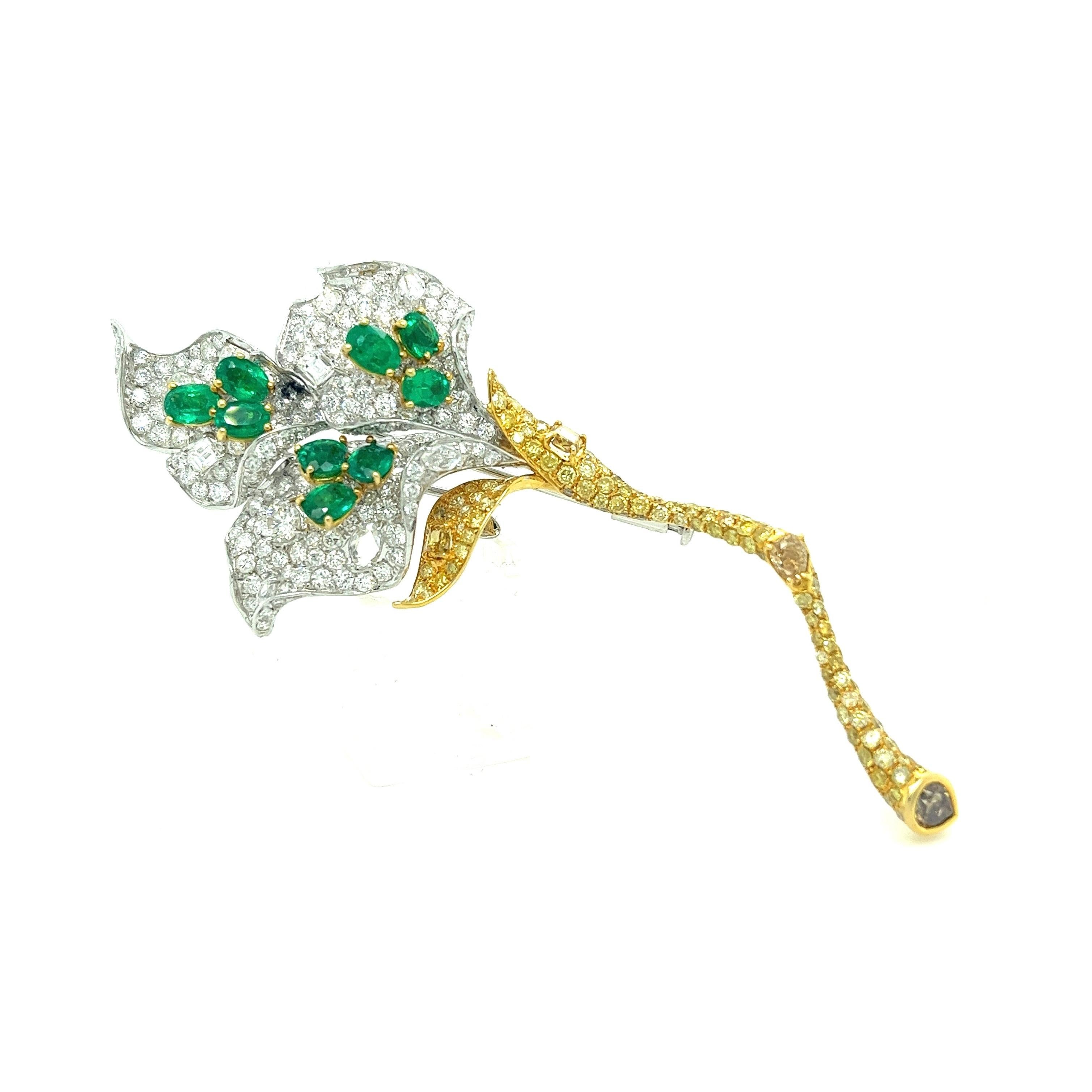18K White Gold Emerald Flower Brooch with Diamonds & Fancy Diamonds

9 Emeralds - 2.50 CT
377 Diamonds + Fancy Diamonds - 9.03 CT
18K White Gold - 14.51 GM

Adorned with a captivating floral design, this 18k gold brooch is a true masterpiece.