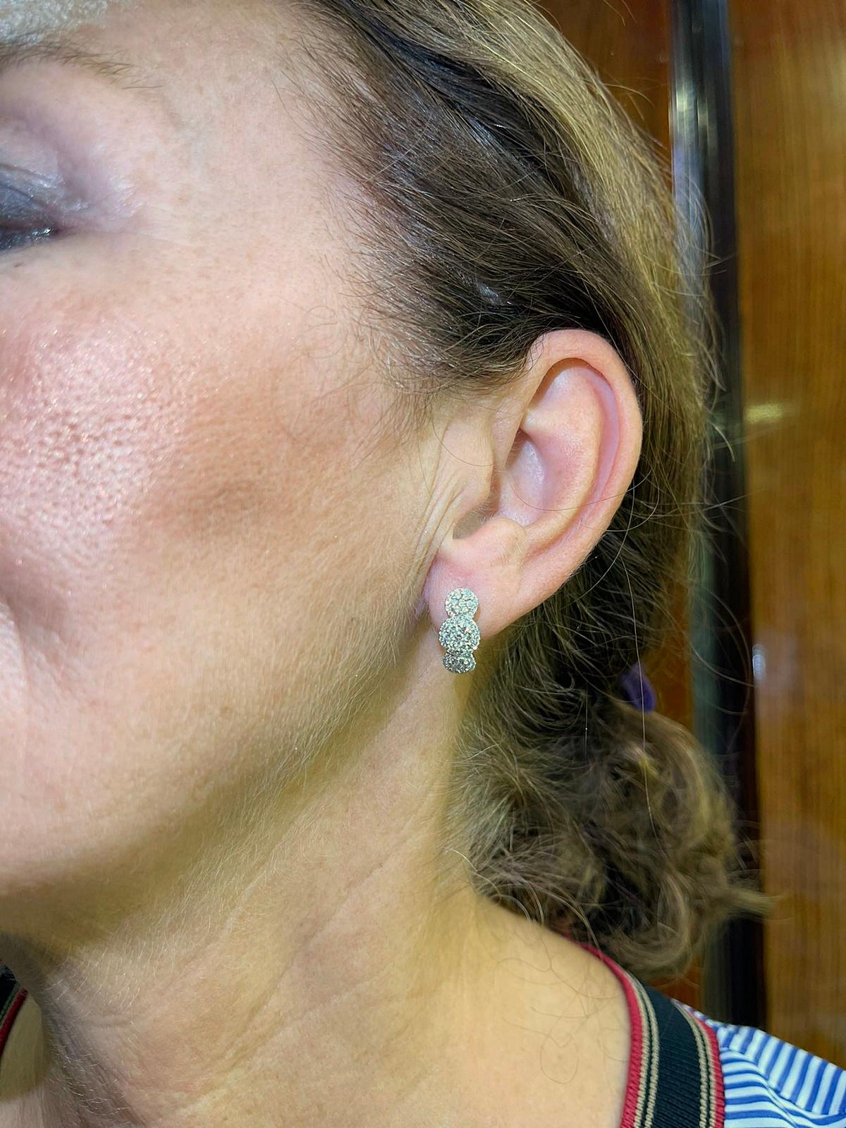 18k White  Gold Natural Diamond Decorated Pretty Earring For Sale 7