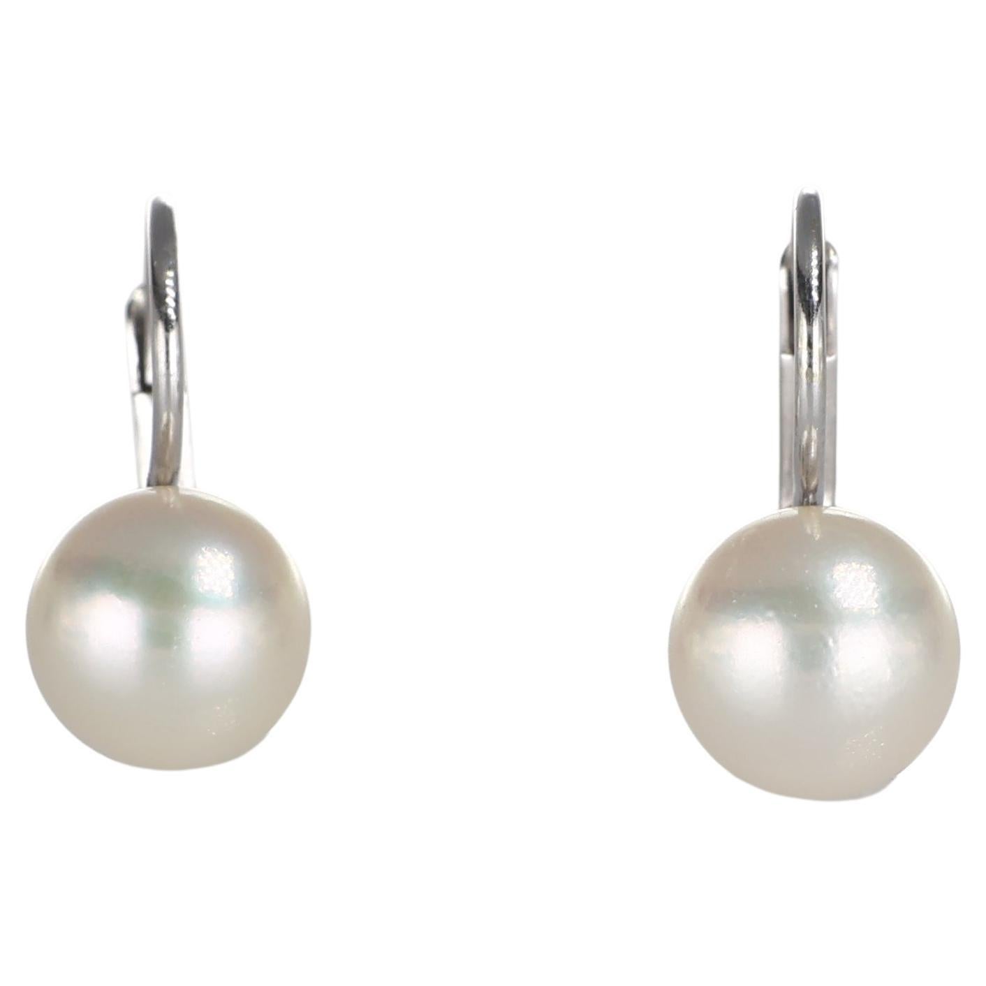 18K White Gold Pearl Earrings