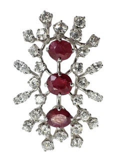 18K White Gold Ruby and Diamond Spray Brooch