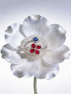 18K White Gold Ruby, Sapphire and Diamond Four-Leaf Clover Ring, 0.83ct