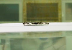 18K White Gold Slim Diamond Bangle with Natural Diamonds IdunnCollection