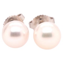 18K White Gold Tiffany & Co 7.5mm Pearl Stud Earrings