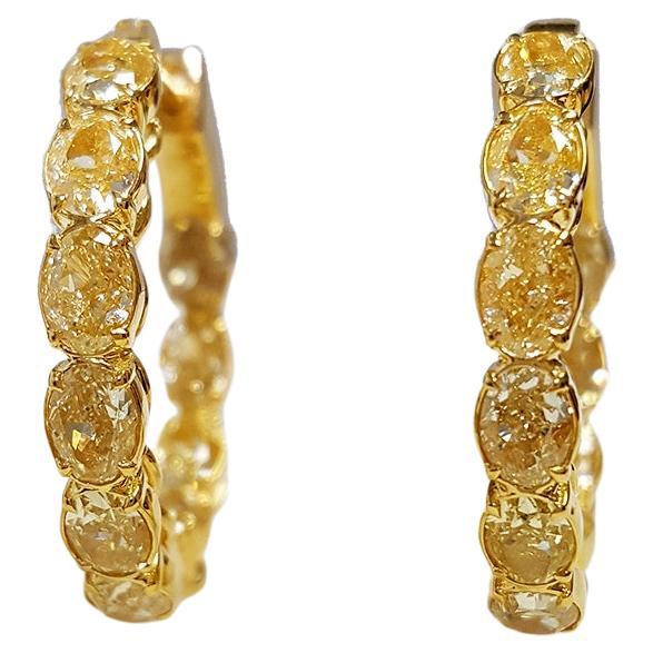 18K Yellow Gold 4.80 Carat Yellow Diamond Oval Cut Hoops Earrings.