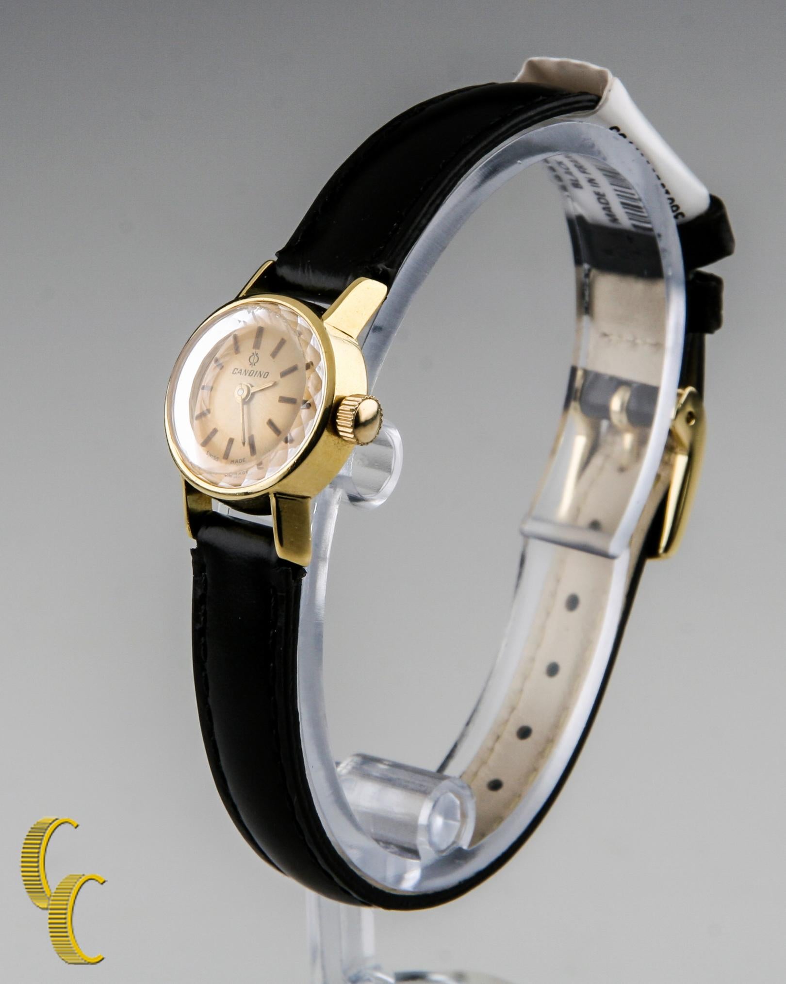candino 2000 watch price