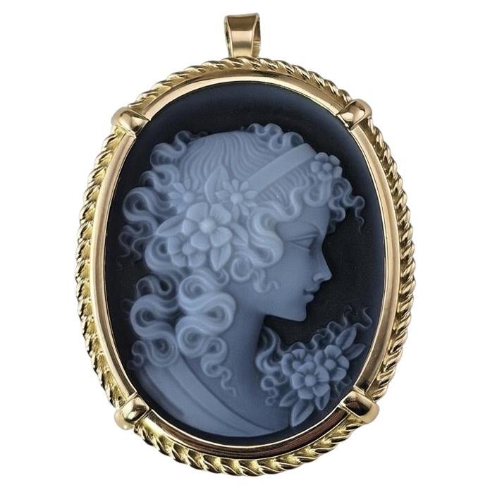 18K Yellow Gold Carved Agate Cameo Brooch/Pendant #24069