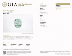 18K Yellow Gold Diamond Paraiba Tourmaline GIA 33.23 Carat Jared Lehr Ring