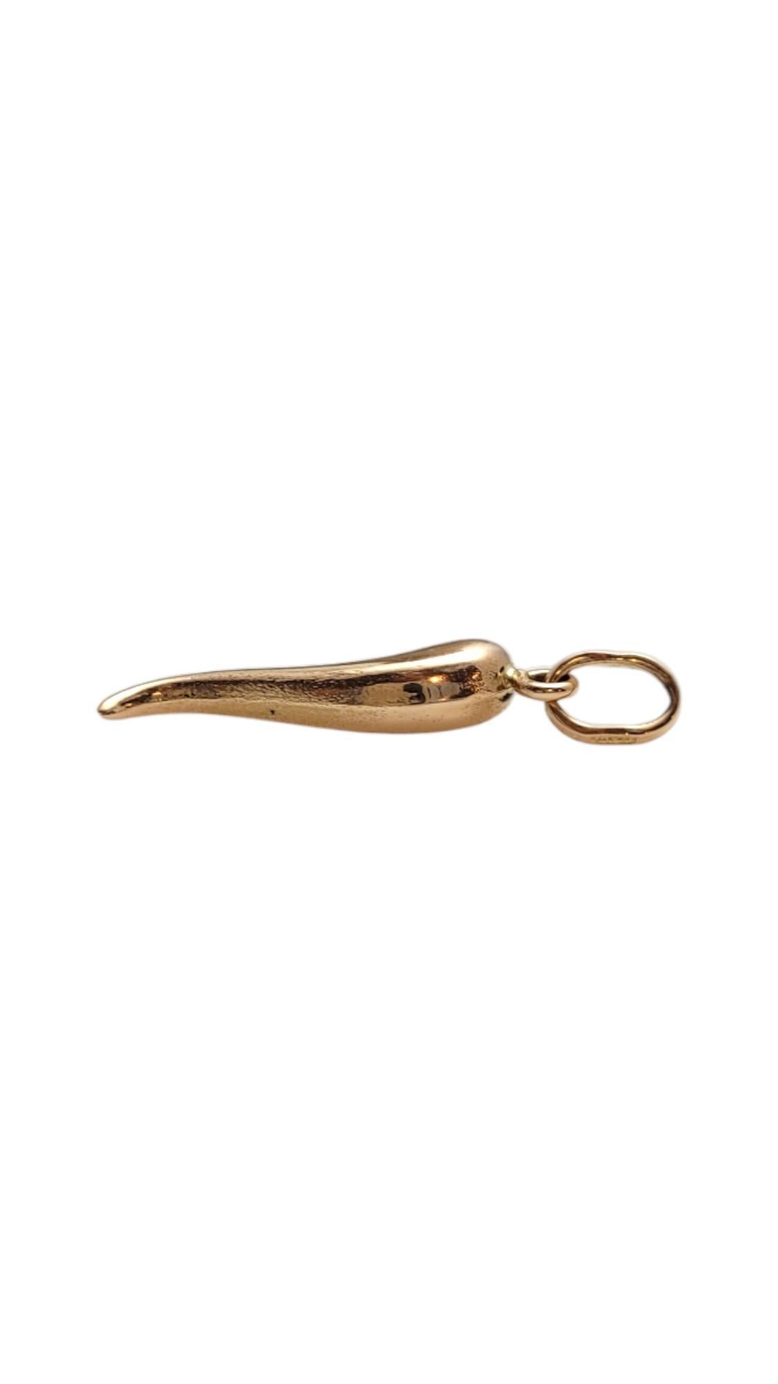 Colgante Encanto Cuerno Italiano Oro Amarillo 18K #19846 1