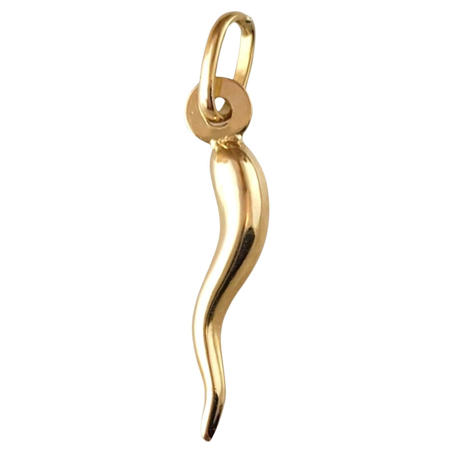 18K Yellow Gold Italian Horn Pendant #16900