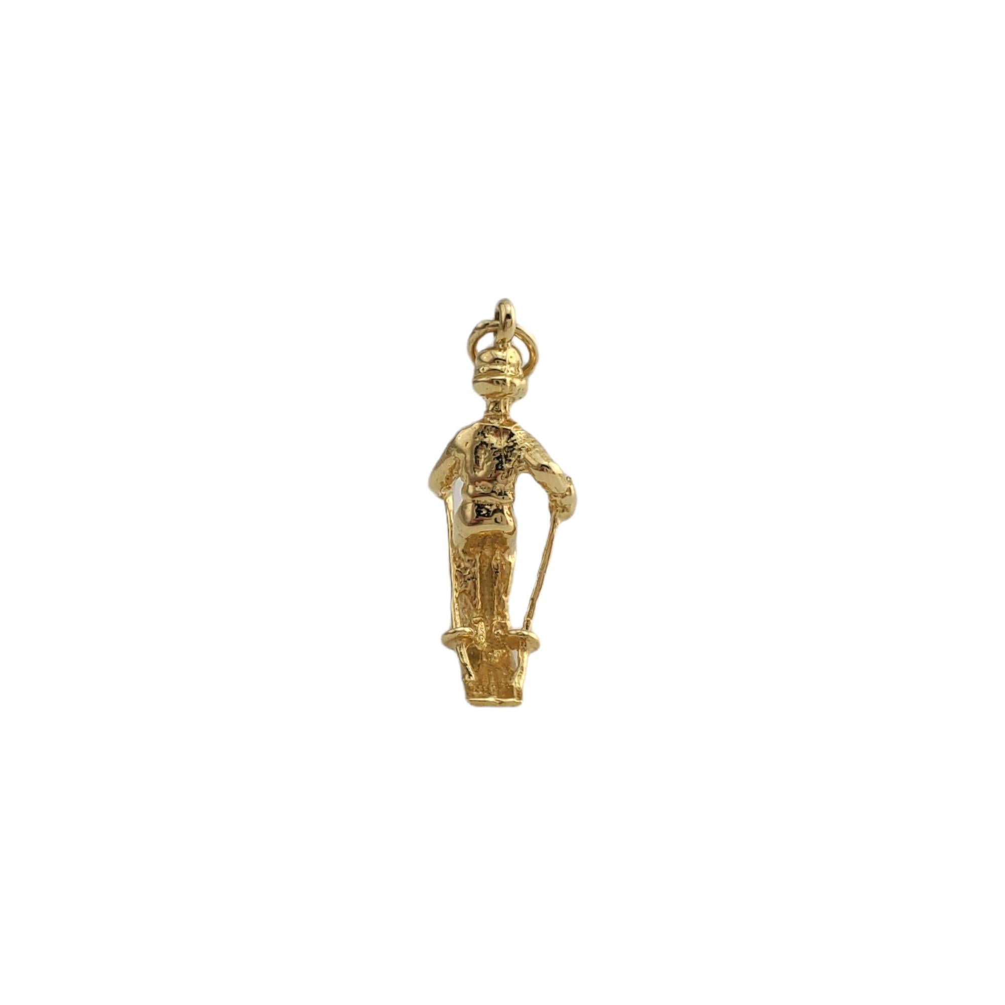 18K Yellow Gold Skier Charm 

Beautiful 18K yellow gold skier charm! 

Size: 9.98mm X 23.75mm

Weight:  4.4gr /  2.8dwt

Very good condition, professionally polished.

Will come packaged in a gift box and will be shipped U.S. Priority Mail